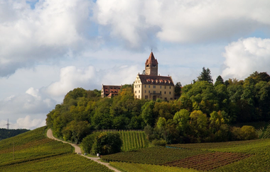 BRA1 Wanderdreiklang | Weinberge mit Schloss Stocksberg | © Neckar-Zaber-Tourismus e.V.