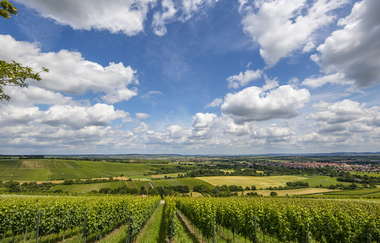 Rennrad-Tour durchs Württembergische Hügelland | © SMG, Achim Mende
