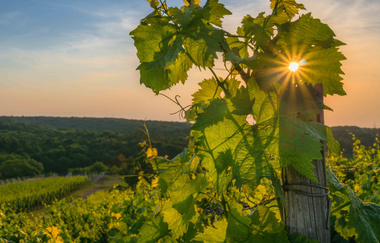 Rennradrunde zwischen Kultur & Enzschleife | © Land der 1000 Hügel - Kraichgau-Stromberg