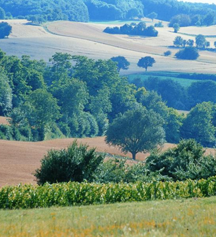 Rettigheimer Weg | © Land der 1000 Hügel - Kraichgau-Stromberg