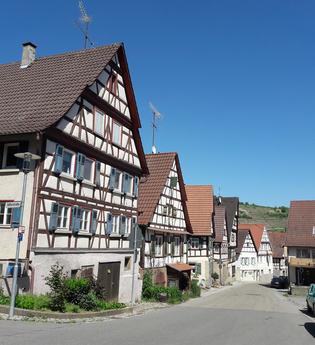 Riedberg-Rundweg | © Land der 1000 Hügel - Kraichgau-Stromberg