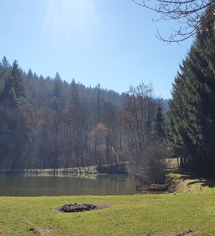 Rund um den Schönertsee | © TOURISMUS REGION WERTHEIM GmbH