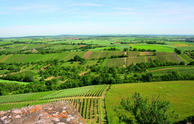 Rund um die Ravensburg | © Wandermagazin