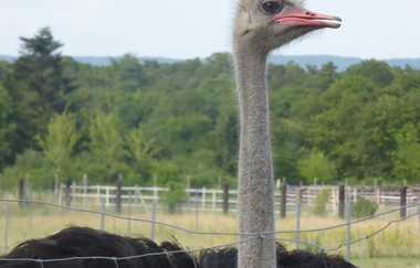 Rundtour der Museen | © Landratsamt Rhein-Neckar-Kreis