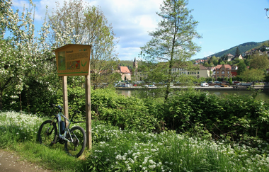 Rundtour Eberbach | © Landratsamt Rhein-Neckar-Kreis