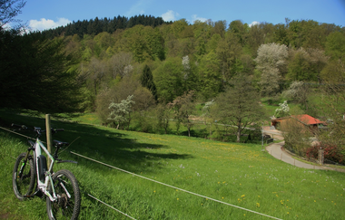 Rundtour Eberbach | © Landratsamt Rhein-Neckar-Kreis