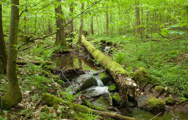 Rundtour Eberbach | © Landratsamt Rhein-Neckar-Kreis