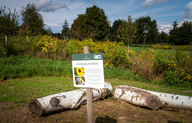 Rundtour Kraichgauer Wein | © Landratsamt Rhein-Neckar-Kreis