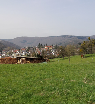 Rundtour Neckargemünd - Kleiner Odenwald | © Landratsamt Rhein-Neckar-Kreis