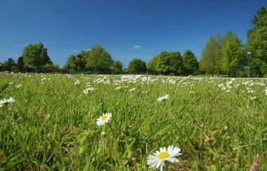 Rundtour Schwetzingen | © Landratsamt Rhein-Neckar-Kreis