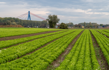 Rundtour Schwetzingen | © Landratsamt Rhein-Neckar-Kreis