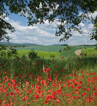 Rundtour Waibstadt | © Landratsamt Rhein-Neckar-Kreis