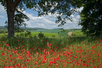 Rundtour Waibstadt | © Landratsamt Rhein-Neckar-Kreis