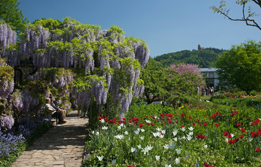 Rundtour Weinheim | © Dorothea Burkhardt, Landratsamt Rhein-Neckar-Kreis