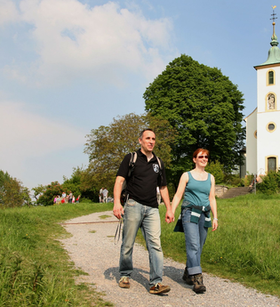 Rundwanderung entlang von Streuobstwiesen und Reben auf den Michaelsberg | © Land der 1000 Hügel - Kraichgau-Stromberg
