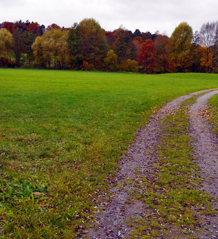 Rundwanderweg in Diefenbach - Kulturlandschaft im Wandel