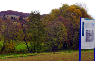 Rundwanderweg in Diefenbach - Kulturlandschaft im Wandel