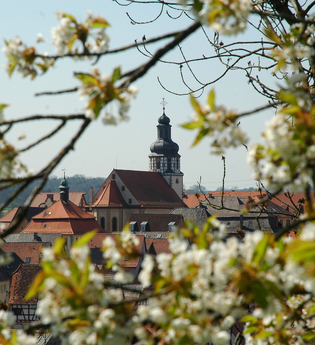 Rundwanderweg Kraichtal-Gochsheim | © Stadtmarketing Kraichtal