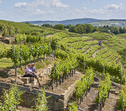 Pausen in den Lauffener Weinbergen | Lauffen a.N. | HeilbronnerLand | © Neckar-Zaber-Tourismus