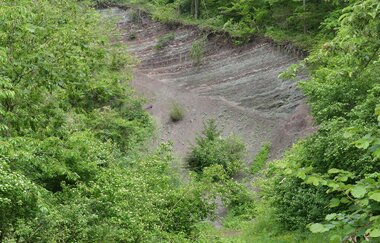 Sachsenheimer Weg | © Stadt Sachsenheim