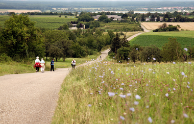 Schönbornroute - vom Barock in Bruchsal zur Romanik nach Speyer | © Bruchsaler Tourismus, Marketing & Veranstaltungs GmbH