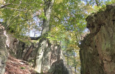 Schriesheim - Spatschlucht | © Landratsamt Rhein-Neckar-Kreis