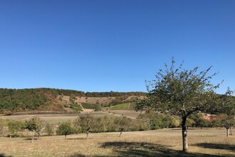 SD1 - Herrliches Sternenfels und Diefenbach