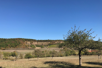 SD1 - Herrliches Sternenfels und Diefenbach