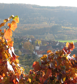 SH1 - Rundwanderweg Historisches Kirbachtal | © Stadt Sachsenheim