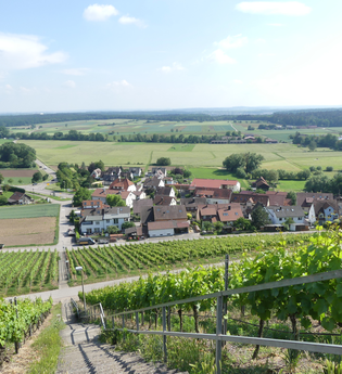 SH2 - Hohenhaslacher Genuss-Weg | © Stadt Sachsenheim