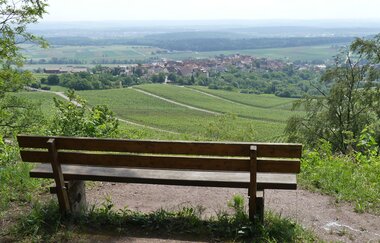 SH2 - Hohenhaslacher Genuss-Weg | © Stadt Sachsenheim