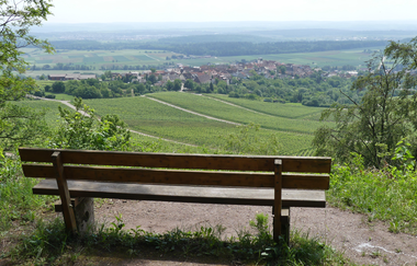 SH2 - Hohenhaslacher Genuss-Weg | © Stadt Sachsenheim