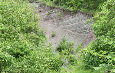 SH3 - Hohenhaslacher Wein-Wald-Weg | © Stadt Sachsenheim