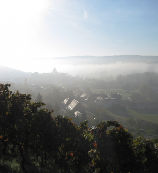 SH4 - Kirbachtaler Grenzgängerweg | © Stadt Sachsenheim