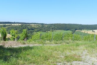 SH5 - Häfnerhaslacher Wald- und Seeweg (große Runde) | © Stadt Sachsenheim