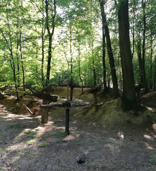 Sinnenpfad Neckargemünd | © Tourist-Informatin Neckargemünd