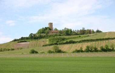 SU2 - Wandern zwischen Wein, Wald und Streuobstwiesen | © Gemeinde Sulzfeld