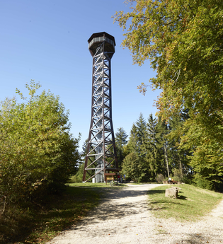 Zwei Waldwege führen zum Teltschikturm, der im Hintergrund zu sehen. | © Touristikgemeinschaft Odenwald e.V.