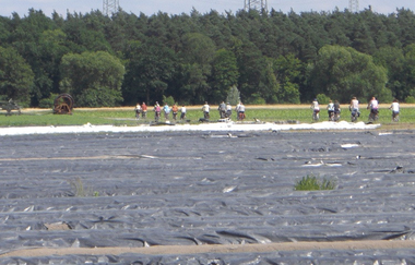 Tour de Spargel | © Tourismus Marketing GmbH Baden-Württemberg