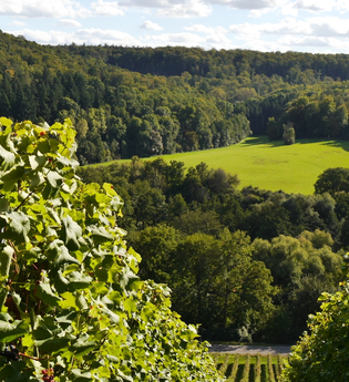 Über den Hagenrain zur Ölmühle | © Land der 1000 Hügel - Kraichgau-Stromberg