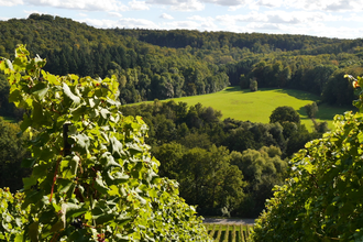 Über den Hagenrain zur Ölmühle | © Land der 1000 Hügel - Kraichgau-Stromberg