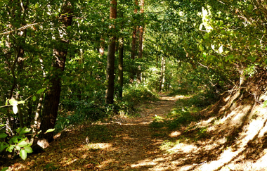 Über den Hagenrain zur Ölmühle | © Land der 1000 Hügel - Kraichgau-Stromberg