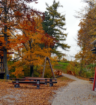 Über die Kanzelbuche von Diefenbach nach Sternenfels | © Land der 1000 Hügel - Kraichgau-Stromberg