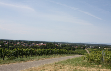 UW1 - Hohlen- und Höhenrundweg | © Land der 1000 Hügel - Kraichgau-Stromberg