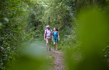 UW1 - Hohlen- und Höhenrundweg | © Land der 1000 Hügel - Kraichgau-Stromberg