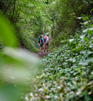 Wandern in Ubstadt-Weiher | © Kraichgau-Stromberg Tourismus e.V.