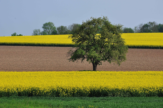Via Sancti Martini Streckenabschnitt Kraichtal | © Land der 1000 Hügel - Kraichgau-Stromberg