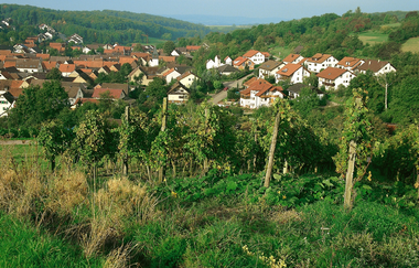 Via Sancti Martini Streckenabschnitt Kraichtal | © Land der 1000 Hügel - Kraichgau-Stromberg