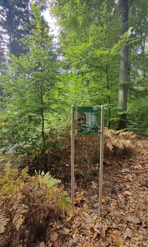 © Liebliches Taubertal