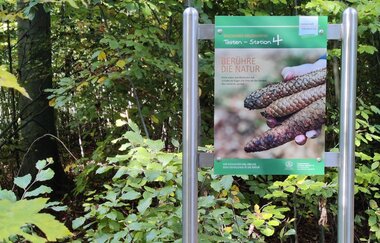 Waldbadepfad Assamstadt | © Liebliches Taubertal